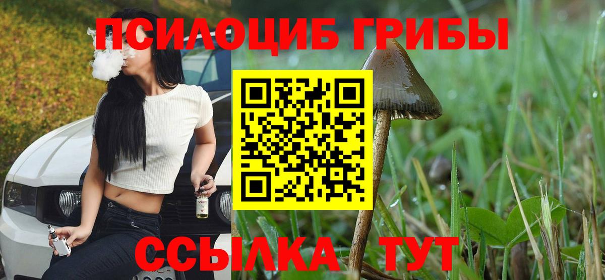 Галлюциногенные грибы мухоморы Ржев