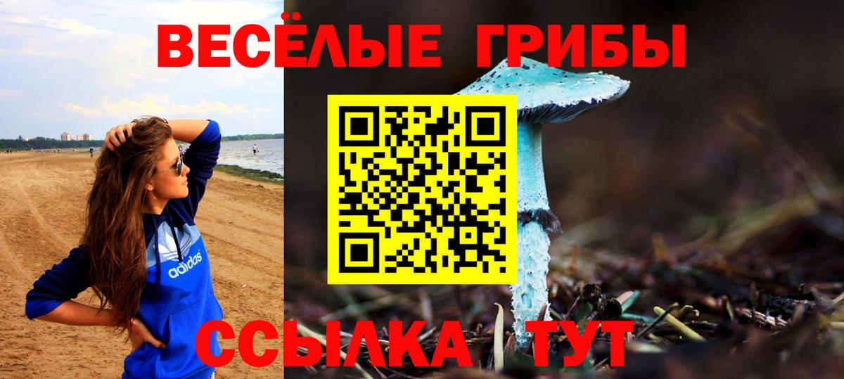 Псилоцибиновые грибы Psilocybe  Вход с VPN  Ржев 